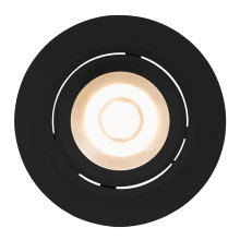 Spotlight Roar Svart Nordlux